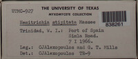 Image Associated With the Occurence